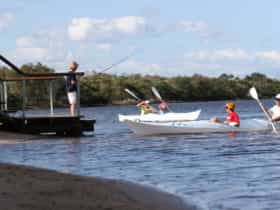 Paddling canoes and kayaks on Currimundi Lake