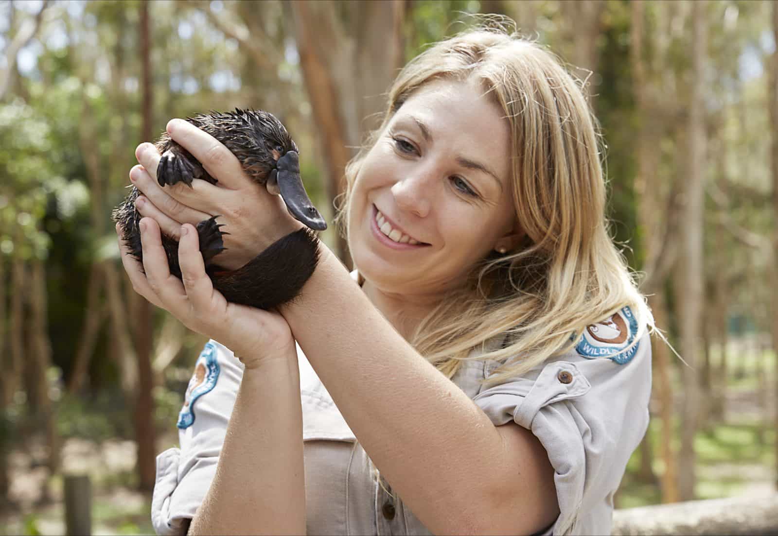 Female ranger holding Wally the platypus.