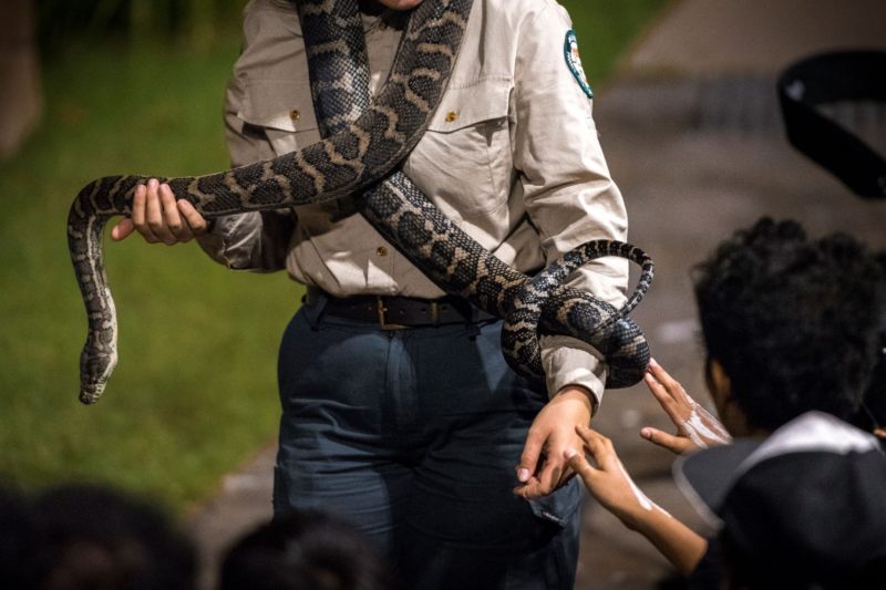 A Park Ranger is holding a python across both his arms and is showing it to the audience.