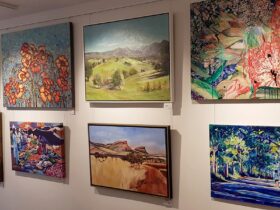 Dayboro Art Gallery wall of colourful paintings