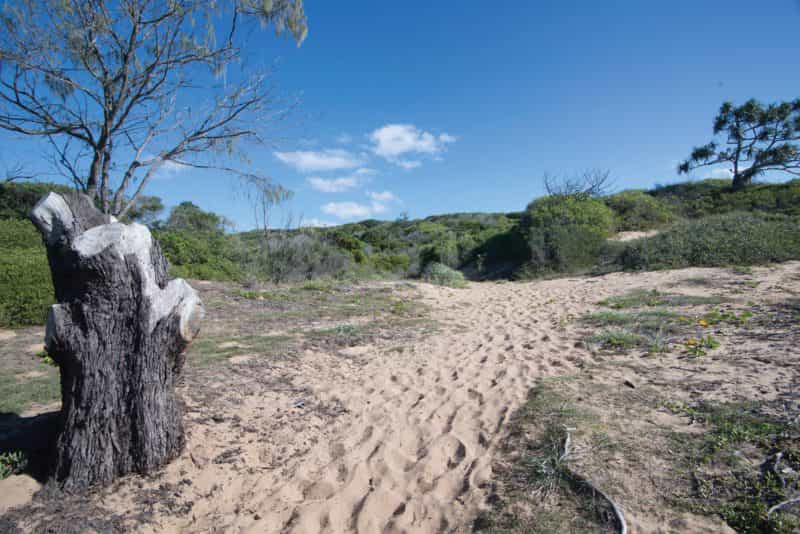 Sandy path and coastal vegetation, Middle Rock Camping Area