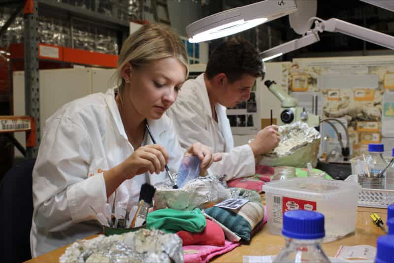 Participants Prepping Megafauna in the megafauna lab both wearing lab coats