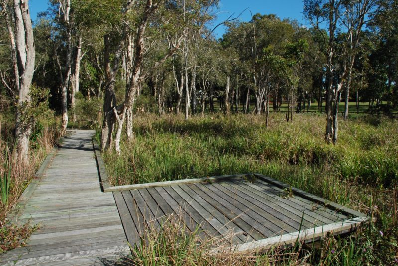photo of part of the boardwalk and a viewing platform at Fay Smith Wetlands