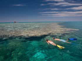 Fitzroy Reef Lagoon