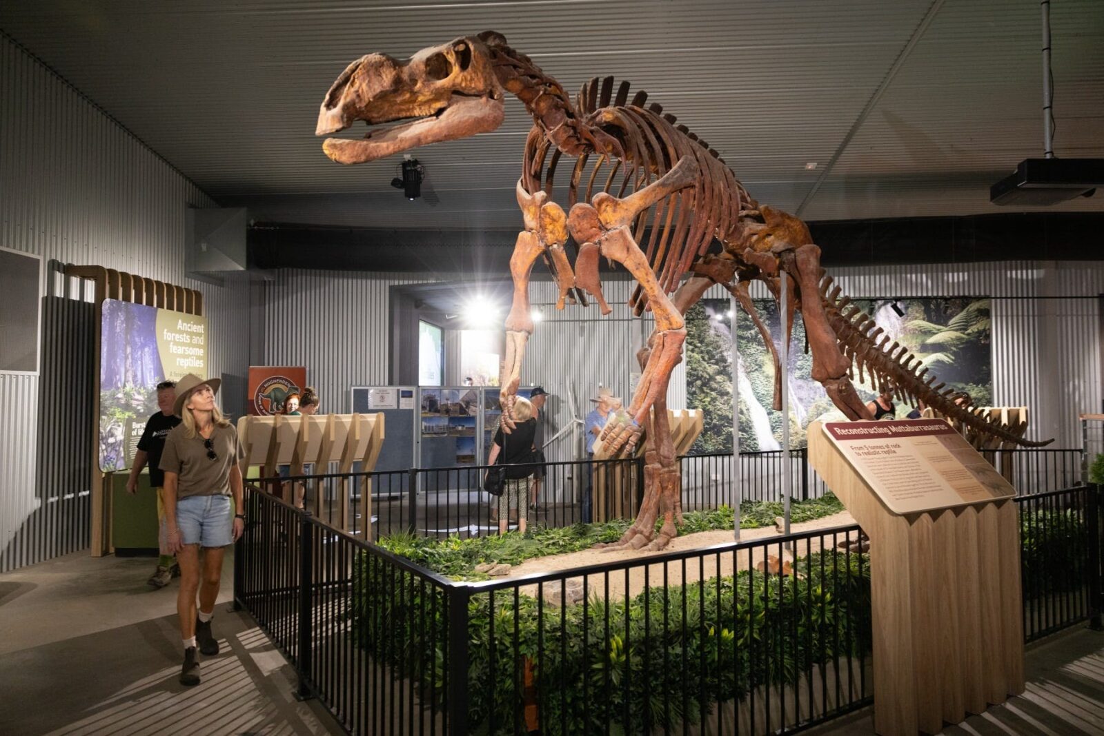 Replica skeleton of a Muttaburrasaurus found in the Flinders Shire
