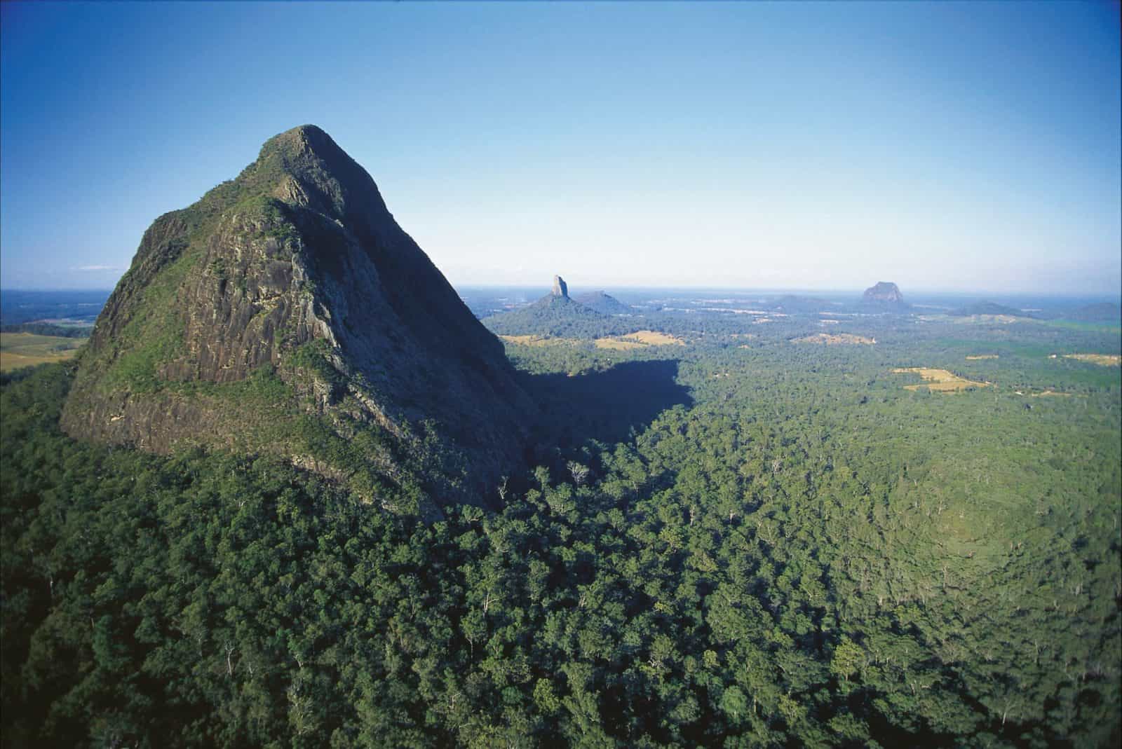 Mount Beerwah rising above surrounding forest.