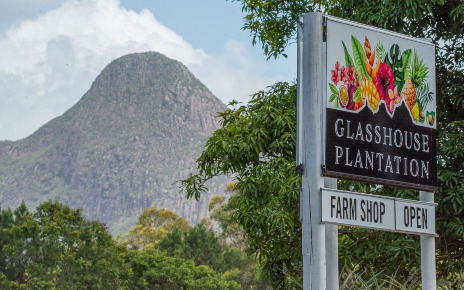 Farm shop sign framed by Mt Beerwah
