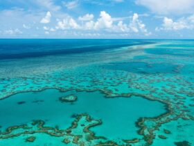 Aerial view of the calm turquoise waters and the endless reef during low ocean tide