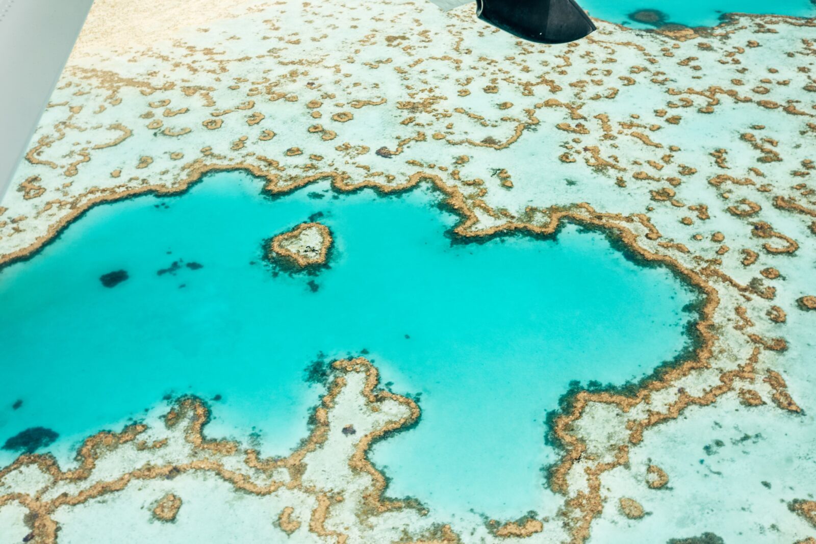 Aerial view of the calm turquoise water surrounded by coral reefs including heart shaped reef
