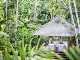 InterContinental Hayman Island Resort | Rainforest Massage