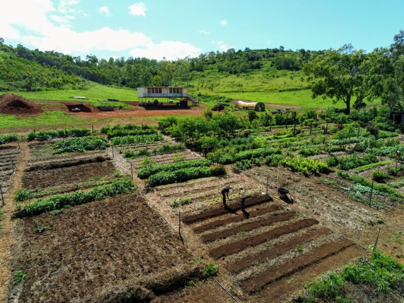 permaculture farm