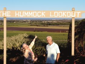 The Hummock Lookout