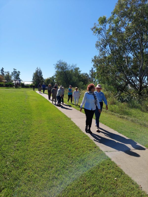 People walking down Inglewood olive grove walkway