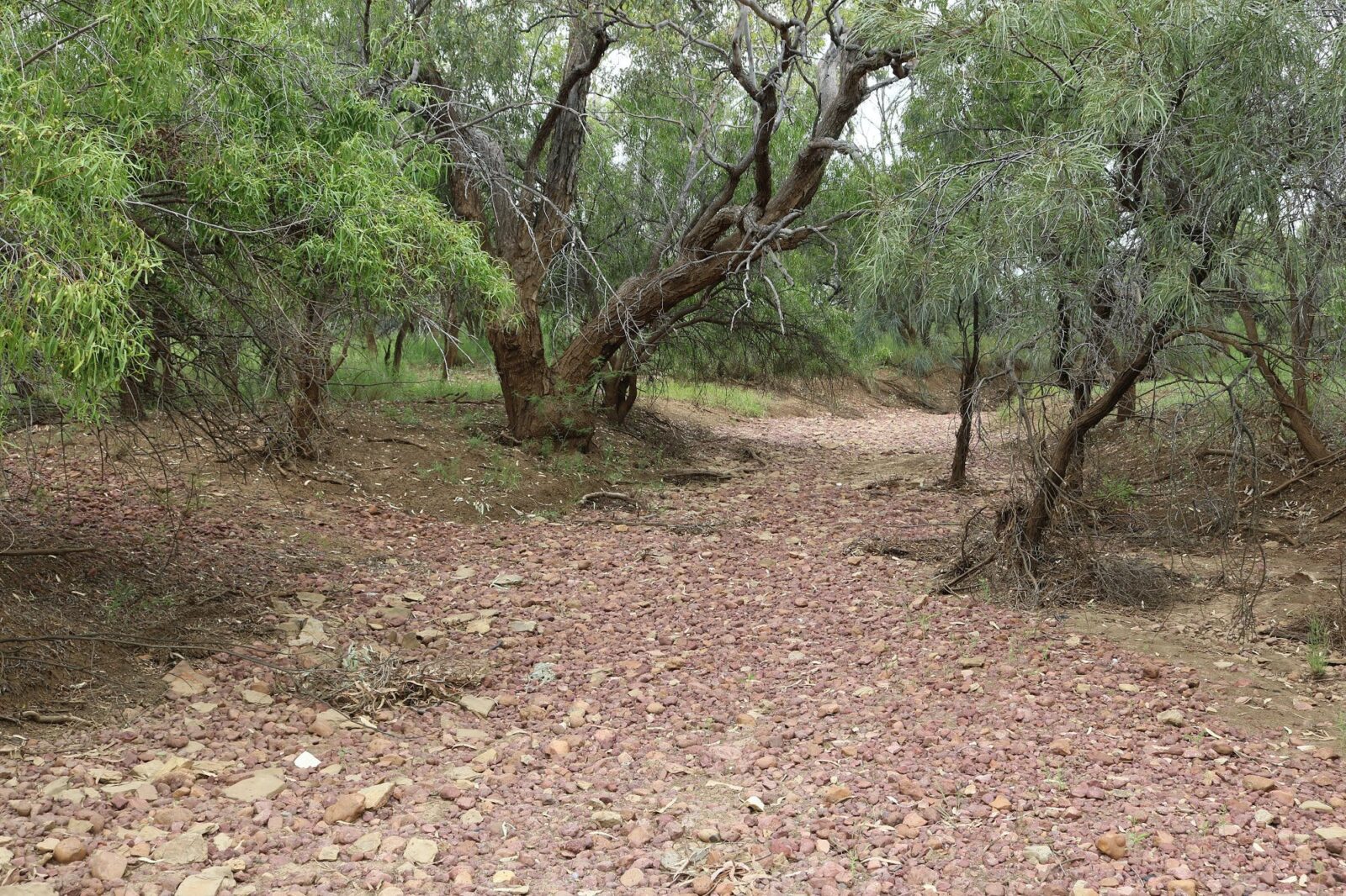 Dry Watyakan Creek Bed