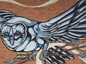 Owl street art on brick wall