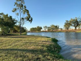 Picturesque camping area alongside the water’s edge of Julia Creek