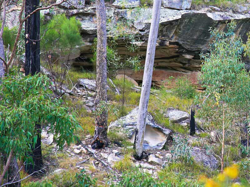 Bush scene with rocky cliff face and aboriginal art.