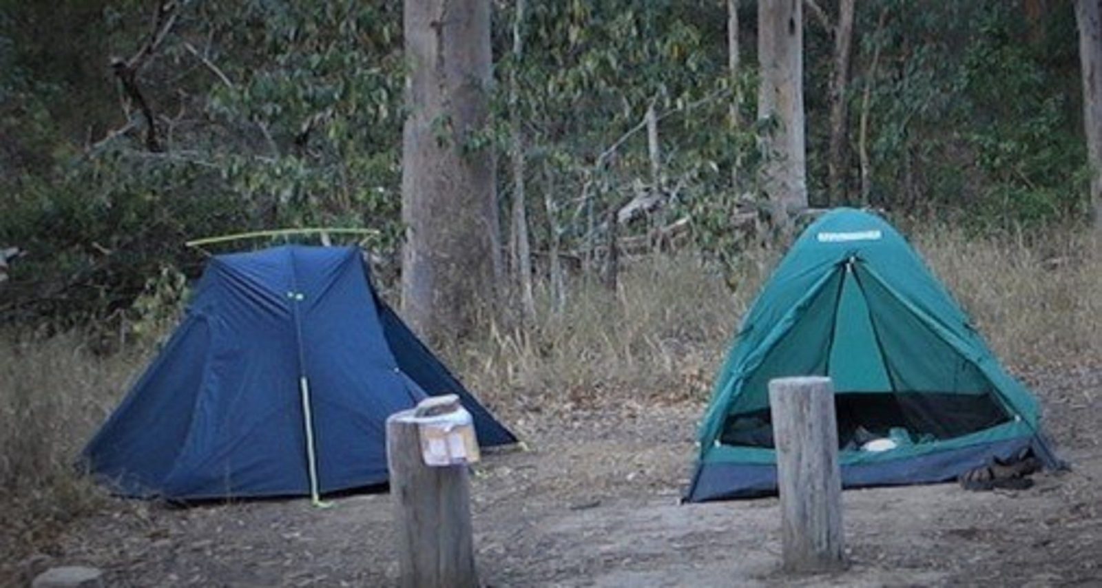 Two tents set up in the Middle Kobble Creek Bush Camp