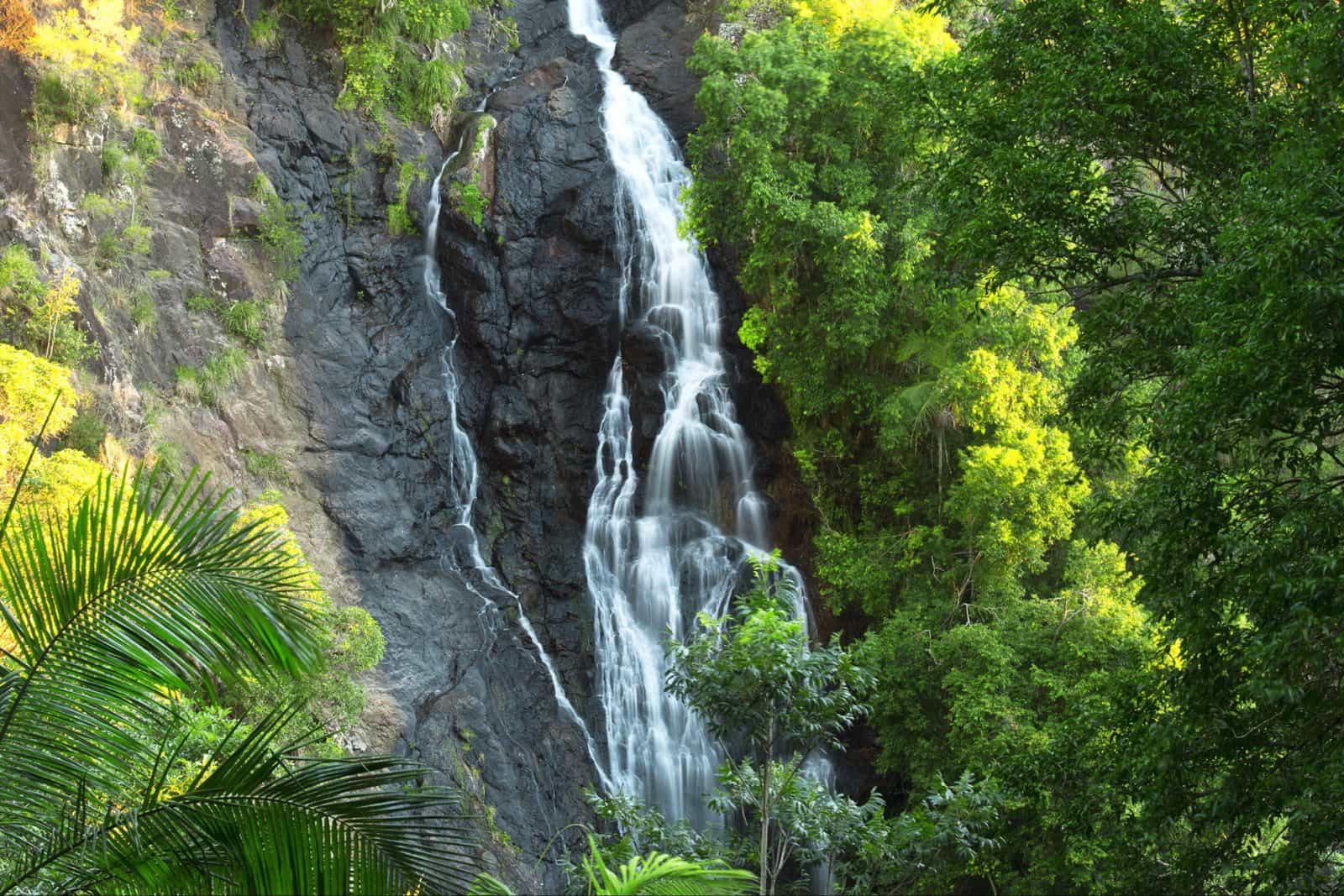 Waterfalls cascading down cliff face, Kondalilla National Park