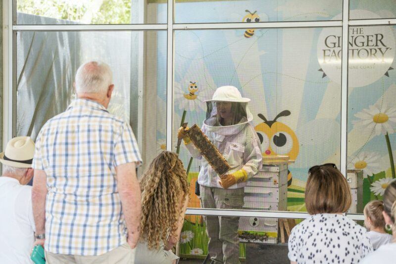 One of our beekeepers opening a bee hive
