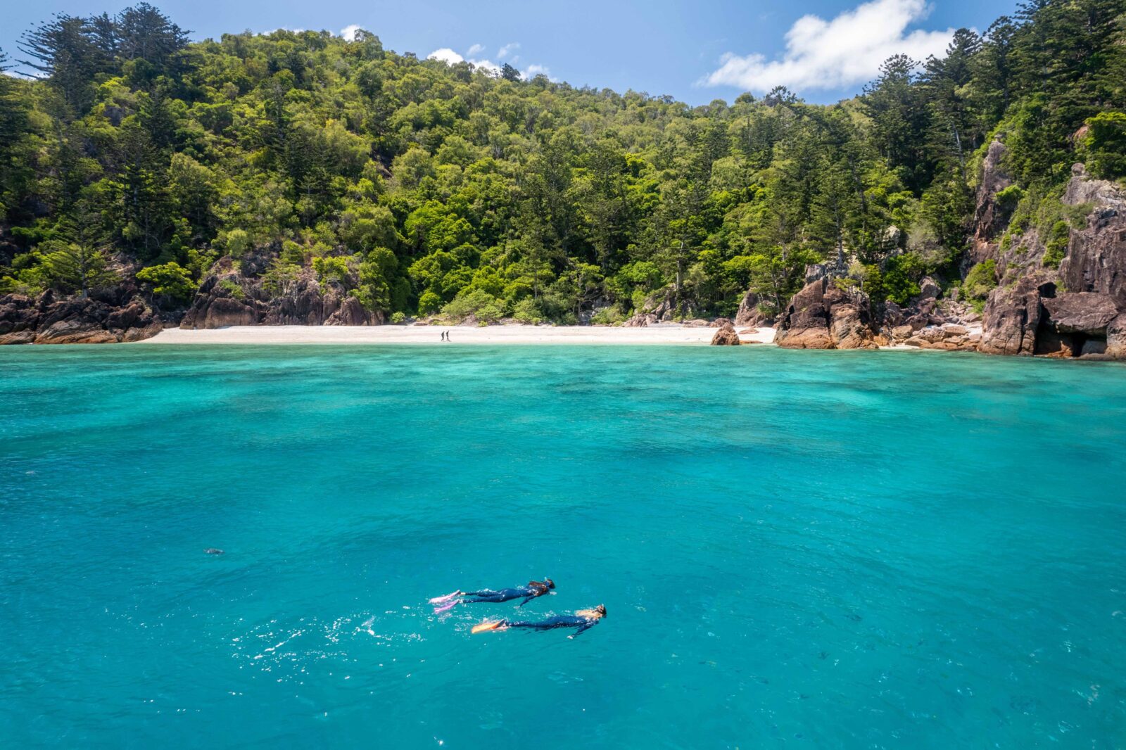 Snorkelling the Whitsunday Islands