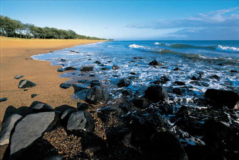 Mon Repos Beach with black rocks in foreground