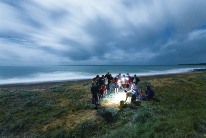 A group of people standing around a sandpit with a turtle, illuminated by torchlight.