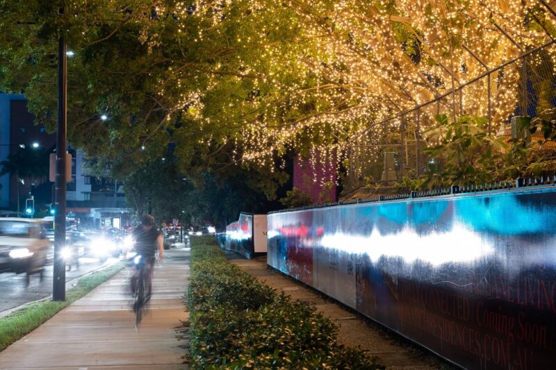 The heritage trees at 600 Coronation Drive lit up with five kilometres of fairy lights