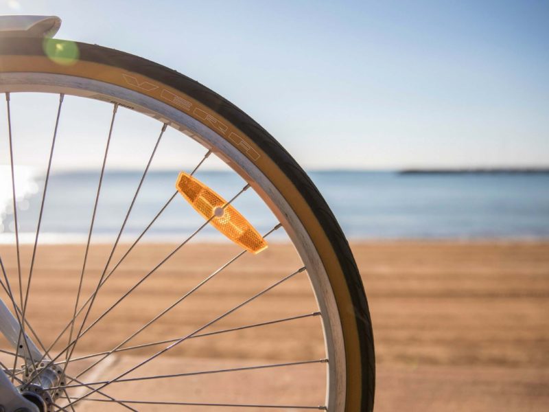 A bike wheel in front of the beach, on the Moreton Bay Cycleway