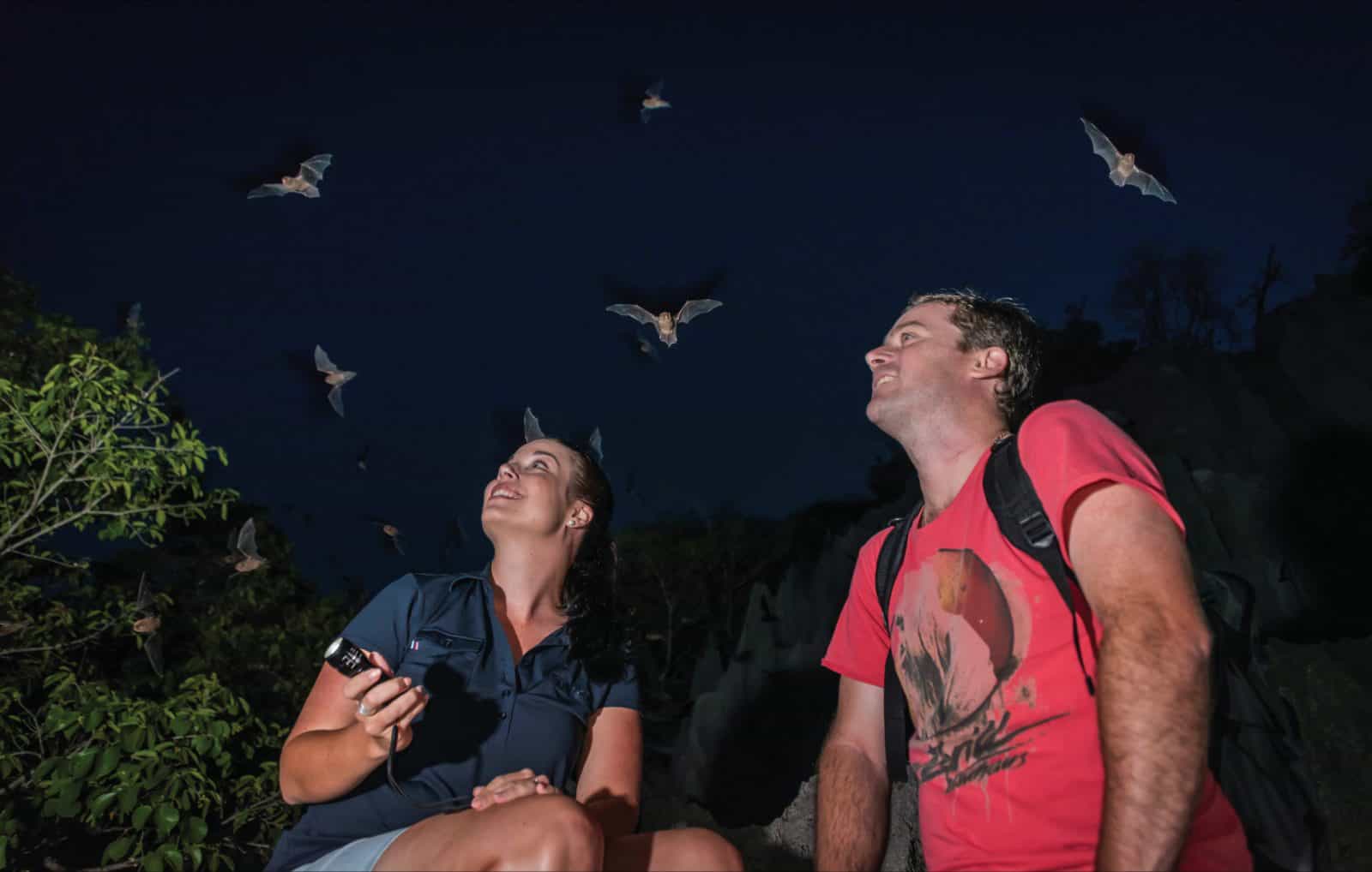 Couple at night surrounded by flying bats/
