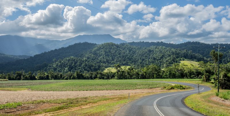 Country road with view of Mt. Bartle Frere