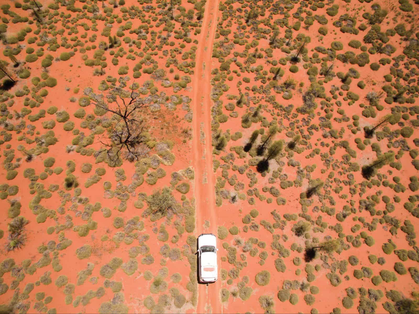 Vehicle surroudned by spinifex bushes
