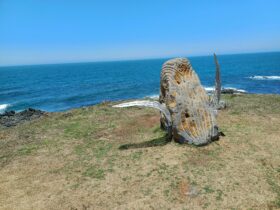 Noor'garr Walla (Whale Rock) Lookout