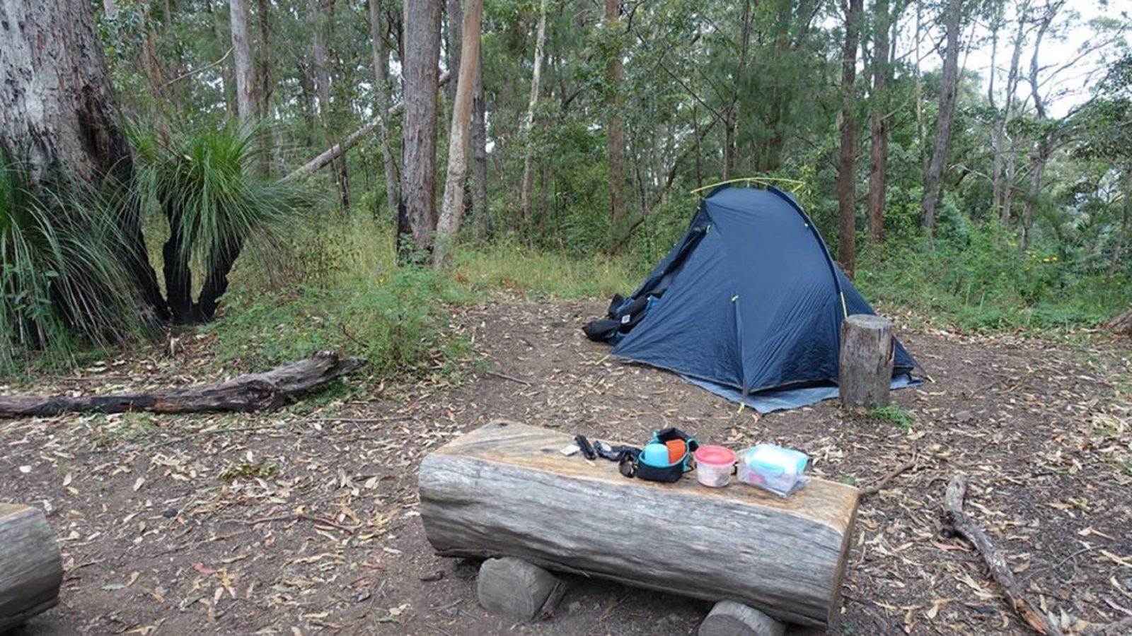 A tent set up in Northbrook Mountain Bush Camp