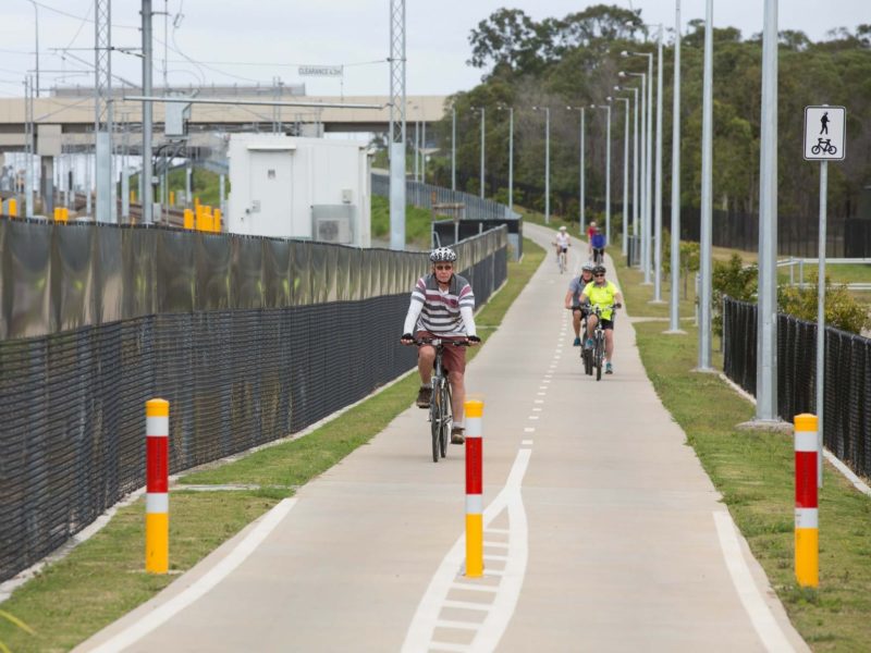 A number of cyclists making use of the Petrie to Kippa-Ring Shared Pathway