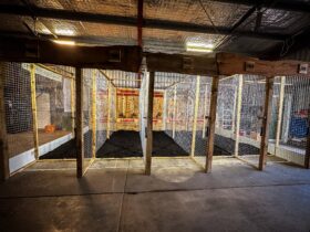 Five axe throwing cages