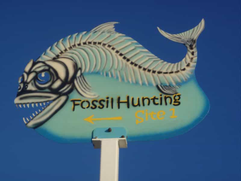 Fossil sign