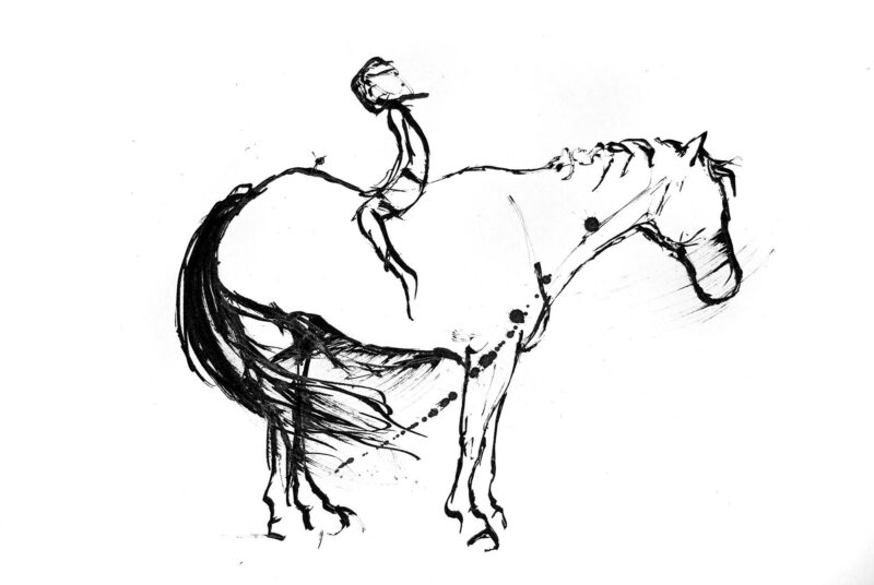 Black and white illustration of a child on a horse