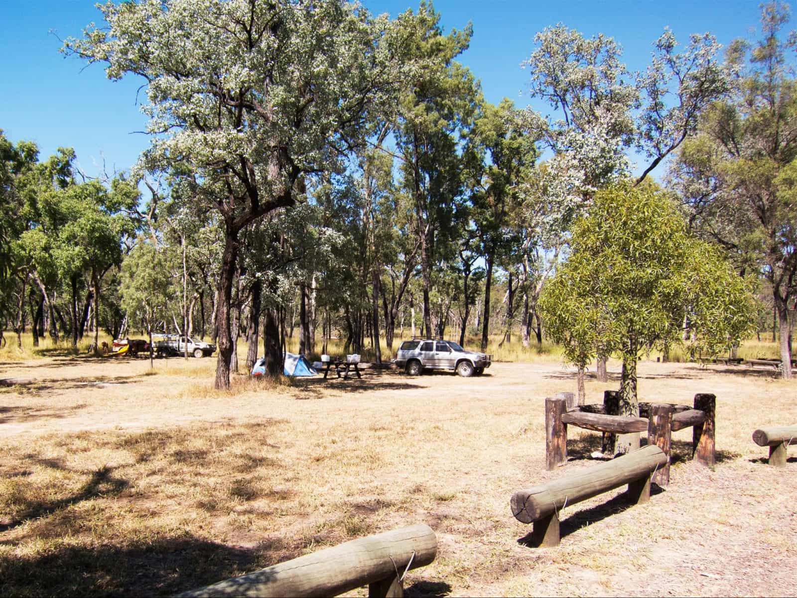 Camp and vehicle set up under trees with mown grass in foreground.