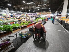 Man in a wheelchair explores the Saturday Fresh Market