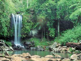 Waterfalls cascading into pool, Tamborine National Park