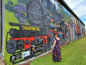 Picture contains a photograph of a lady in a floral dress admiring the Tannymorel Shed Mural.