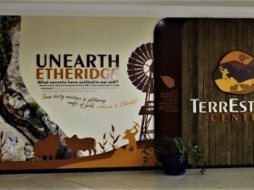 Unearth Etheridge Exhibit Entrance