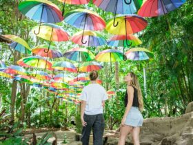 Hundreds of rainbow umbrellas suspended above the gardens