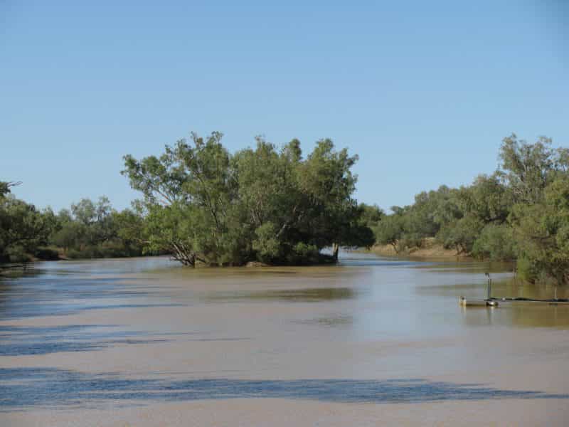 The Thomson River Island at Jundah in far western Queensland