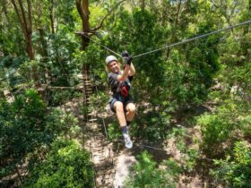 Girl zipline adventure heights