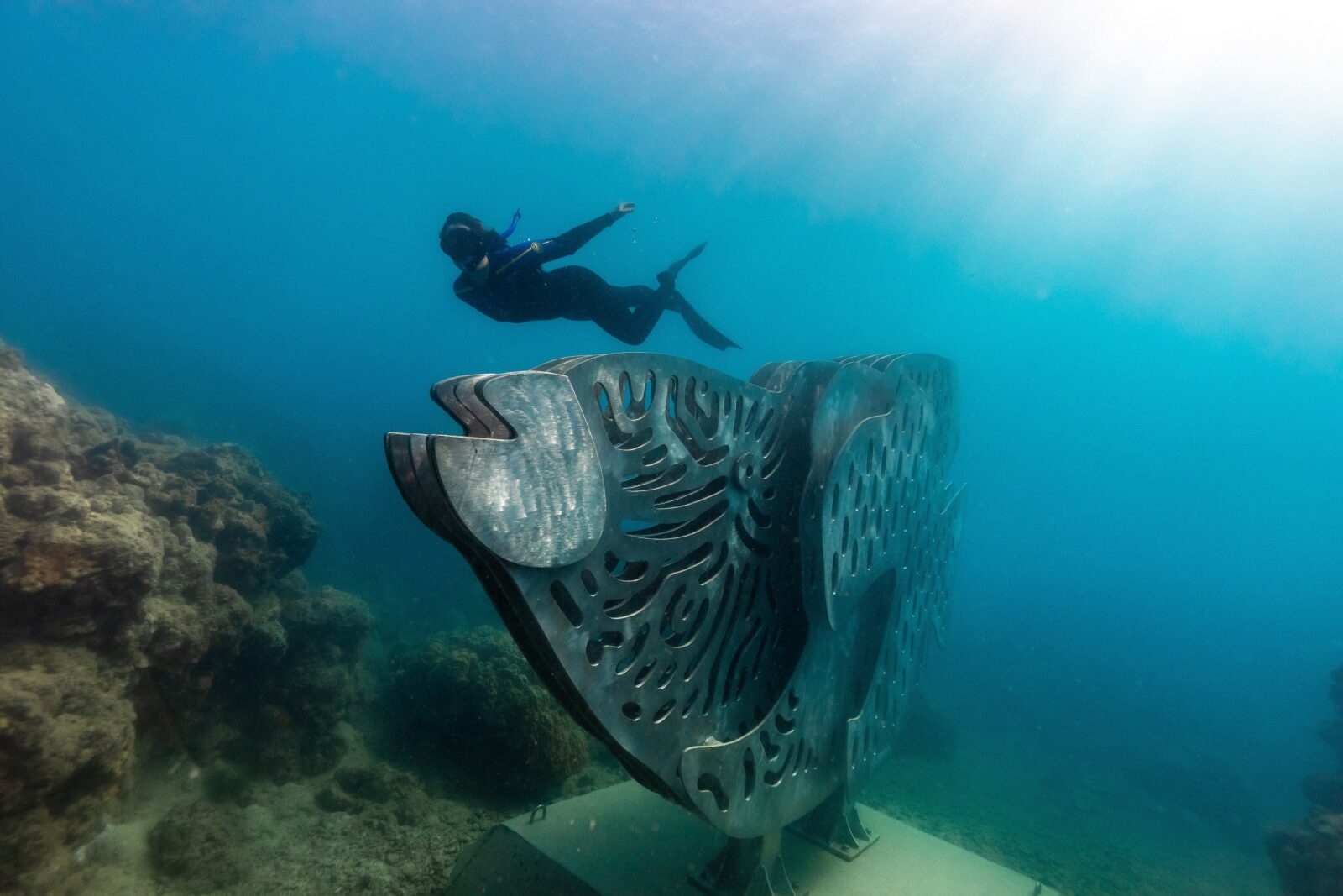 Diver swimming next to the big Maori Wrasse underwater sculpture