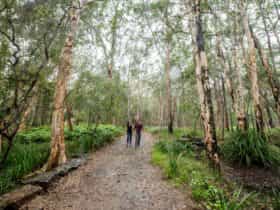 A couple, holding hands and walking along a trail surrounded by trees.