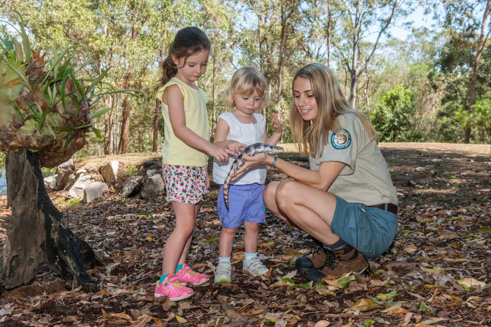 Queensland Parks and Wildlife Ranger showing children a blue-tongued lizard
