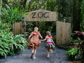 Zog: A Forest Adventure trail - girls running through the entrance